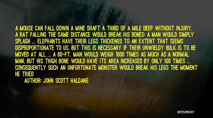 John Scott Haldane Quotes: A Mouse Can Fall Down A Mine Shaft A Third Of A Mile Deep Without Injury. A Rat Falling The