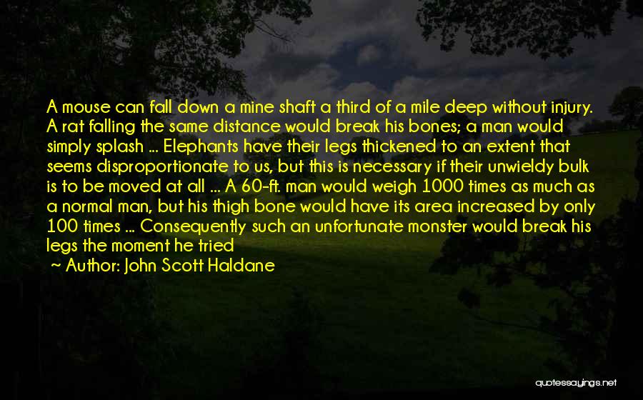 John Scott Haldane Quotes: A Mouse Can Fall Down A Mine Shaft A Third Of A Mile Deep Without Injury. A Rat Falling The