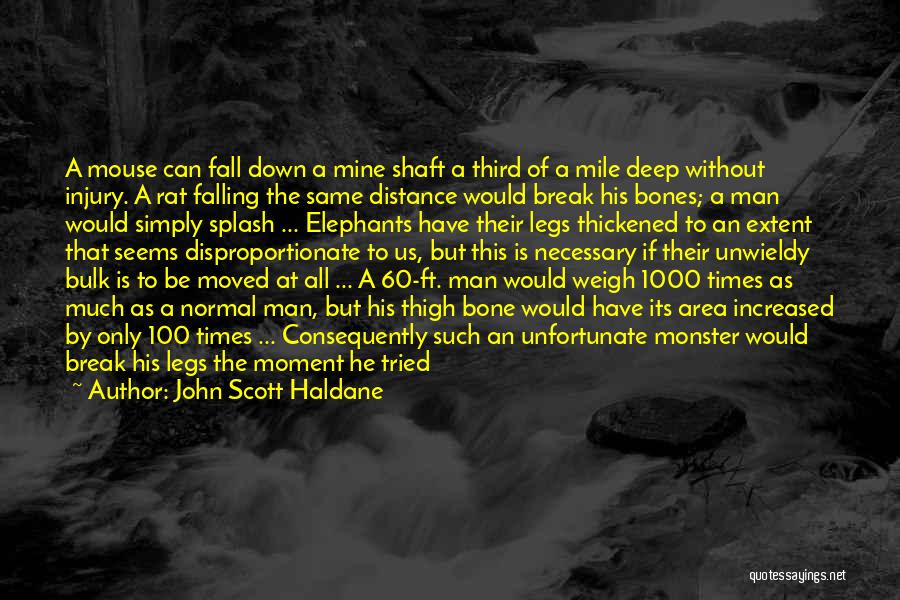 John Scott Haldane Quotes: A Mouse Can Fall Down A Mine Shaft A Third Of A Mile Deep Without Injury. A Rat Falling The