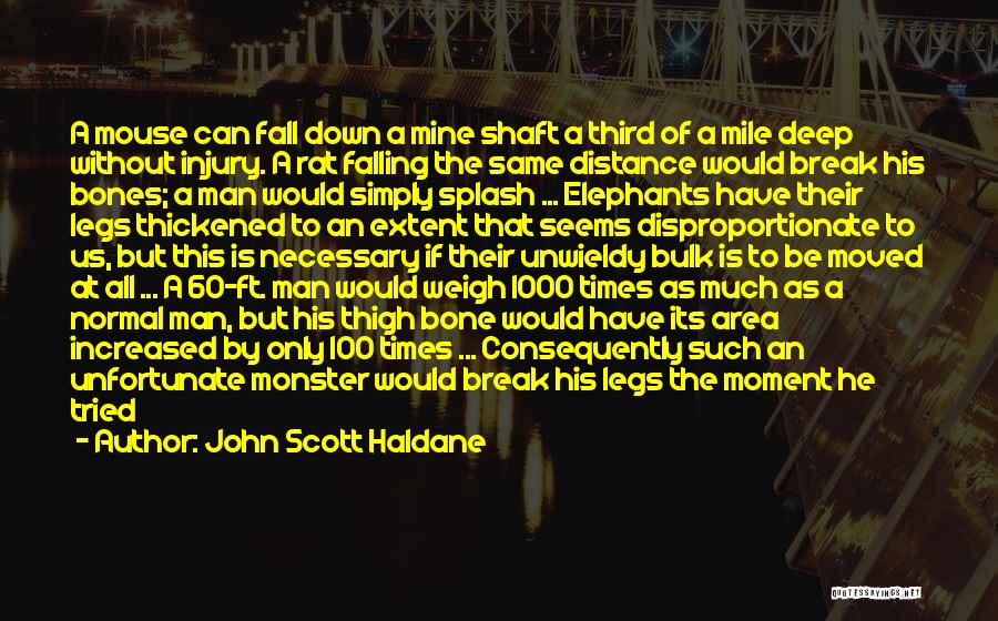 John Scott Haldane Quotes: A Mouse Can Fall Down A Mine Shaft A Third Of A Mile Deep Without Injury. A Rat Falling The