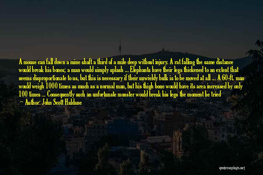 John Scott Haldane Quotes: A Mouse Can Fall Down A Mine Shaft A Third Of A Mile Deep Without Injury. A Rat Falling The