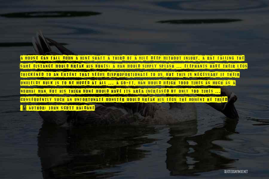 John Scott Haldane Quotes: A Mouse Can Fall Down A Mine Shaft A Third Of A Mile Deep Without Injury. A Rat Falling The