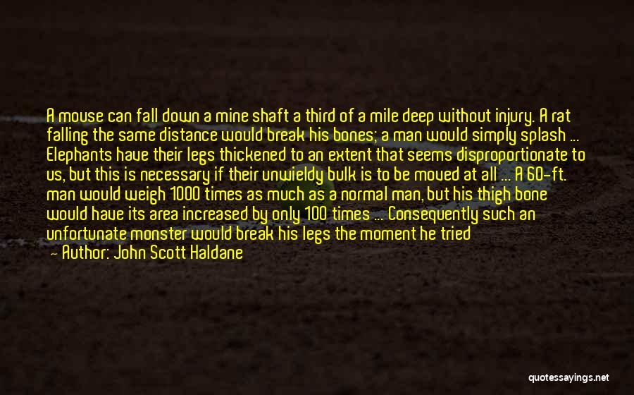 John Scott Haldane Quotes: A Mouse Can Fall Down A Mine Shaft A Third Of A Mile Deep Without Injury. A Rat Falling The