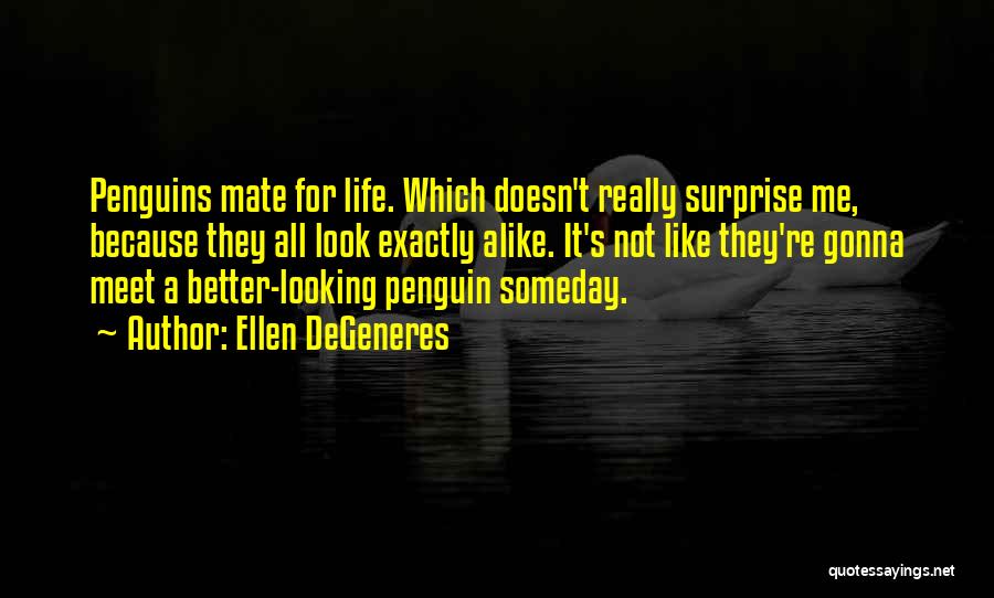 Ellen DeGeneres Quotes: Penguins Mate For Life. Which Doesn't Really Surprise Me, Because They All Look Exactly Alike. It's Not Like They're Gonna