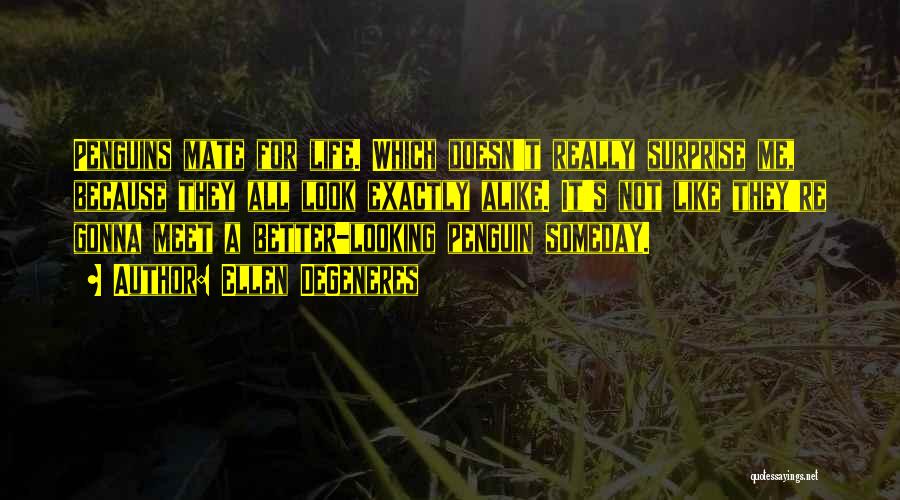 Ellen DeGeneres Quotes: Penguins Mate For Life. Which Doesn't Really Surprise Me, Because They All Look Exactly Alike. It's Not Like They're Gonna