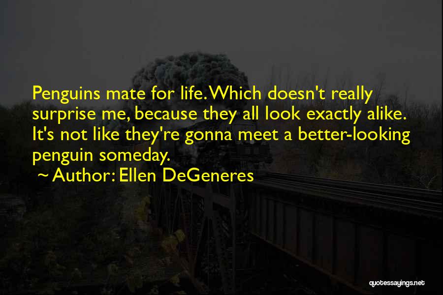 Ellen DeGeneres Quotes: Penguins Mate For Life. Which Doesn't Really Surprise Me, Because They All Look Exactly Alike. It's Not Like They're Gonna
