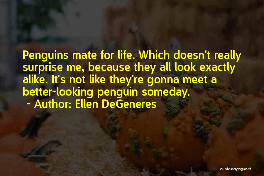 Ellen DeGeneres Quotes: Penguins Mate For Life. Which Doesn't Really Surprise Me, Because They All Look Exactly Alike. It's Not Like They're Gonna