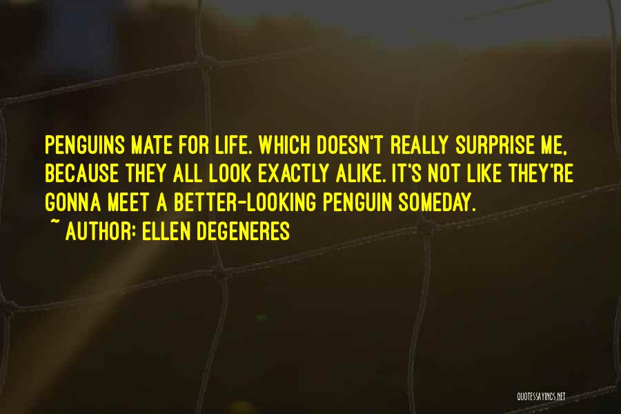 Ellen DeGeneres Quotes: Penguins Mate For Life. Which Doesn't Really Surprise Me, Because They All Look Exactly Alike. It's Not Like They're Gonna