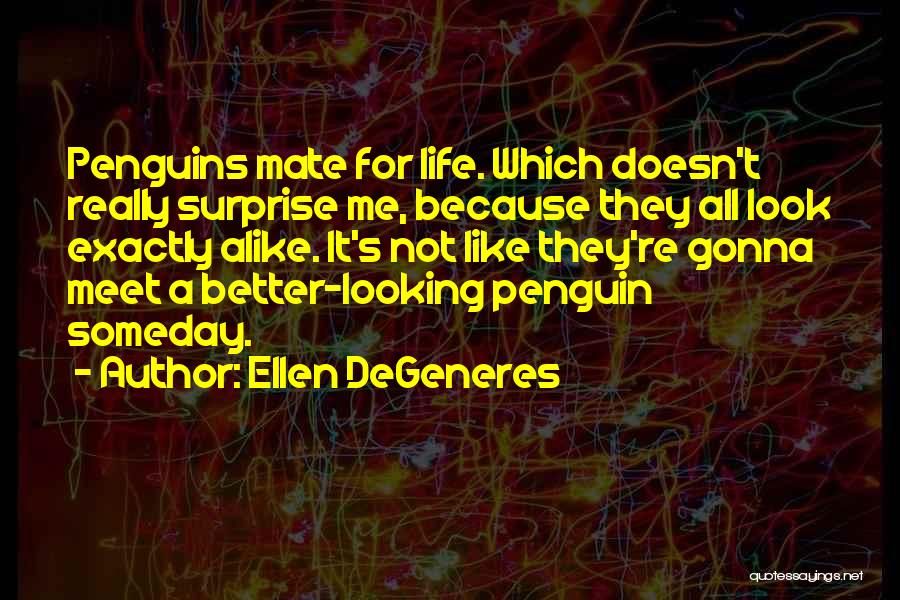 Ellen DeGeneres Quotes: Penguins Mate For Life. Which Doesn't Really Surprise Me, Because They All Look Exactly Alike. It's Not Like They're Gonna