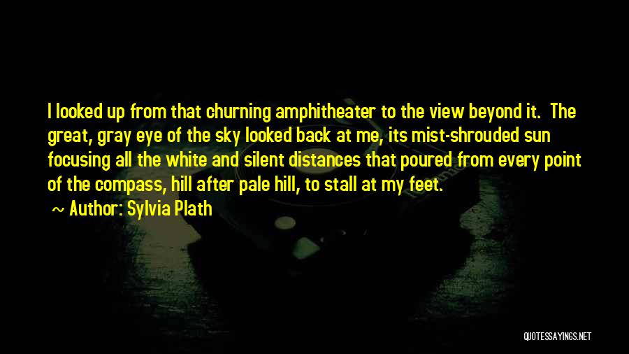 Sylvia Plath Quotes: I Looked Up From That Churning Amphitheater To The View Beyond It. The Great, Gray Eye Of The Sky Looked