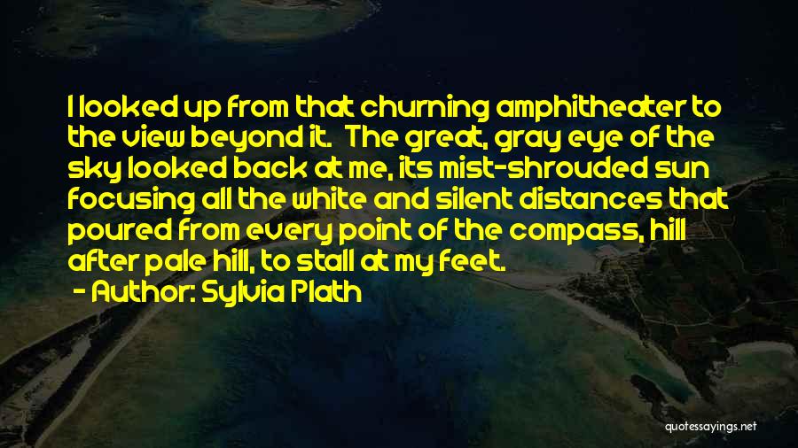 Sylvia Plath Quotes: I Looked Up From That Churning Amphitheater To The View Beyond It. The Great, Gray Eye Of The Sky Looked