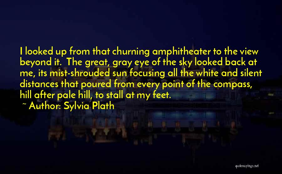 Sylvia Plath Quotes: I Looked Up From That Churning Amphitheater To The View Beyond It. The Great, Gray Eye Of The Sky Looked