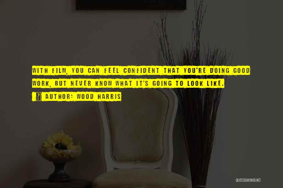 Wood Harris Quotes: With Film, You Can Feel Confident That You're Doing Good Work, But Never Know What It's Going To Look Like.