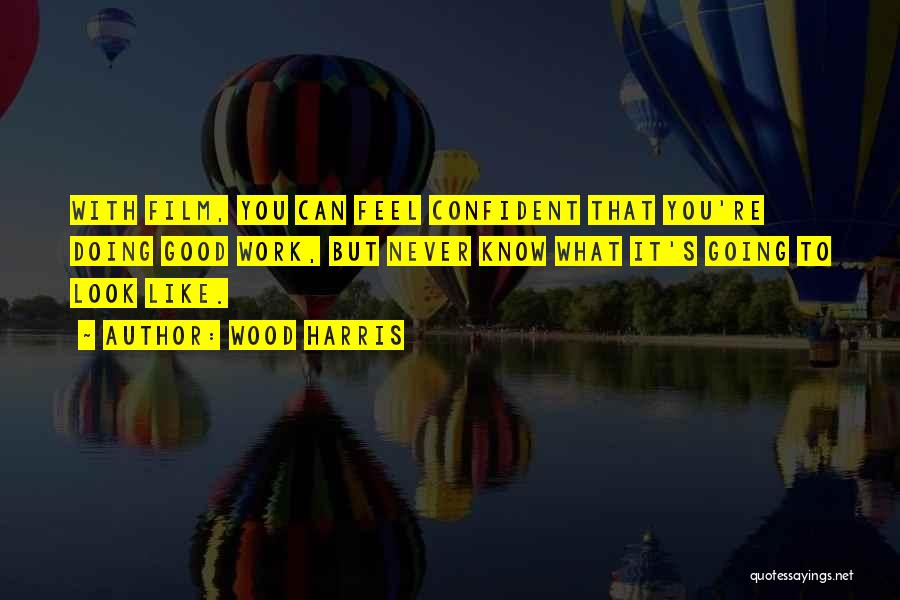 Wood Harris Quotes: With Film, You Can Feel Confident That You're Doing Good Work, But Never Know What It's Going To Look Like.