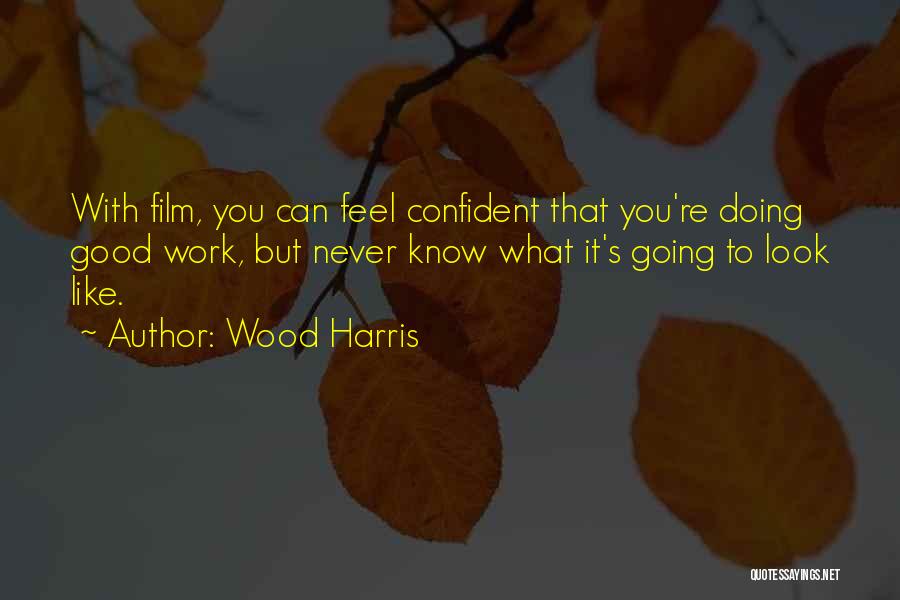 Wood Harris Quotes: With Film, You Can Feel Confident That You're Doing Good Work, But Never Know What It's Going To Look Like.