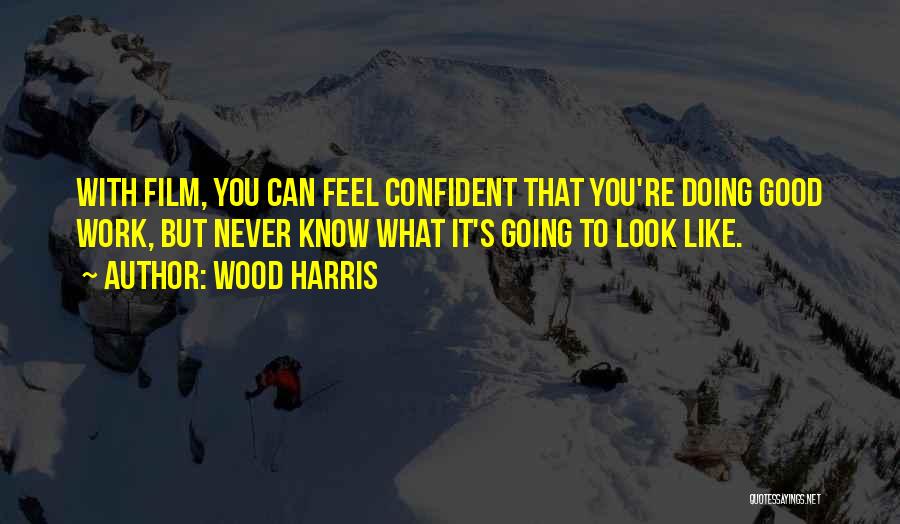 Wood Harris Quotes: With Film, You Can Feel Confident That You're Doing Good Work, But Never Know What It's Going To Look Like.