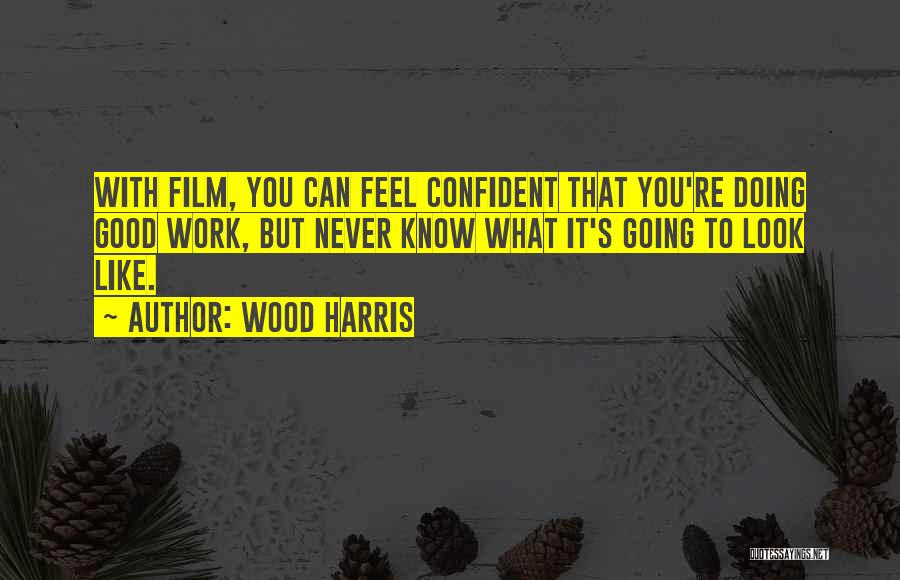 Wood Harris Quotes: With Film, You Can Feel Confident That You're Doing Good Work, But Never Know What It's Going To Look Like.
