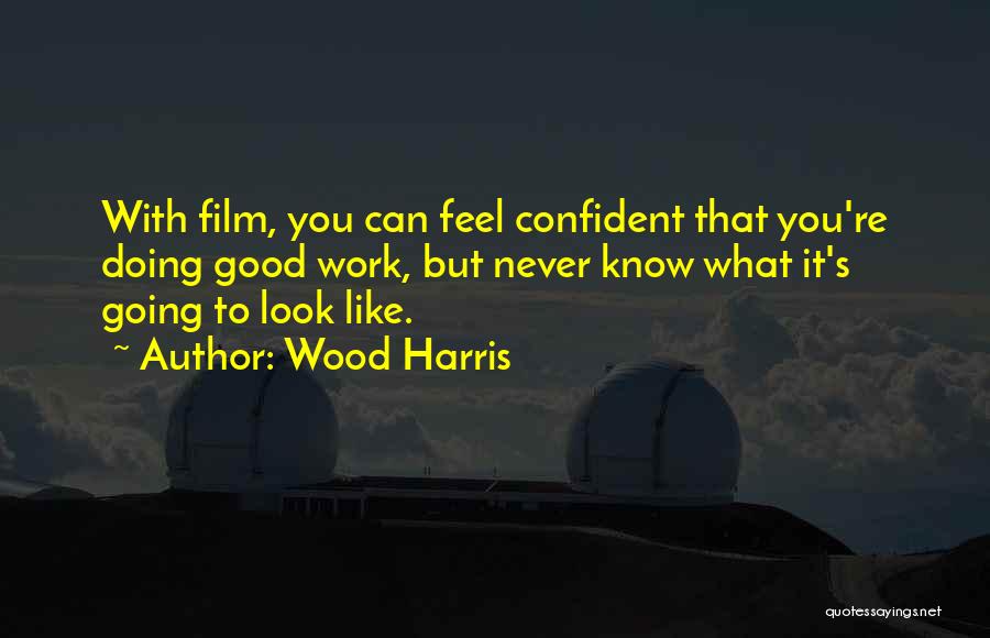 Wood Harris Quotes: With Film, You Can Feel Confident That You're Doing Good Work, But Never Know What It's Going To Look Like.