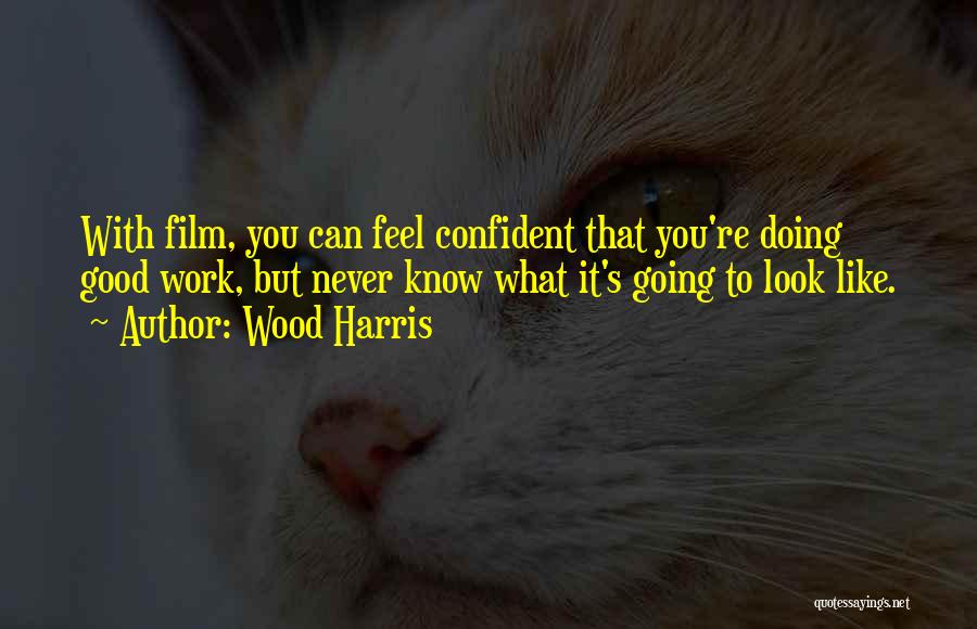 Wood Harris Quotes: With Film, You Can Feel Confident That You're Doing Good Work, But Never Know What It's Going To Look Like.