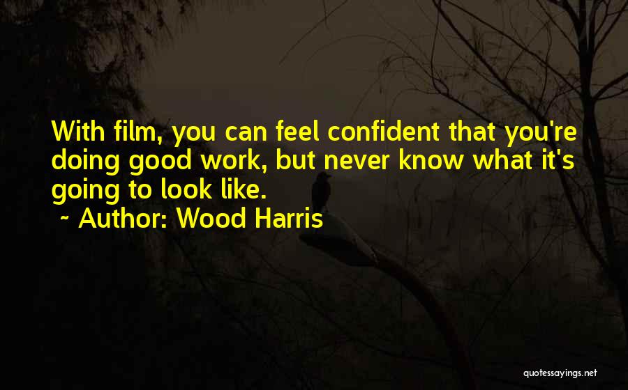Wood Harris Quotes: With Film, You Can Feel Confident That You're Doing Good Work, But Never Know What It's Going To Look Like.
