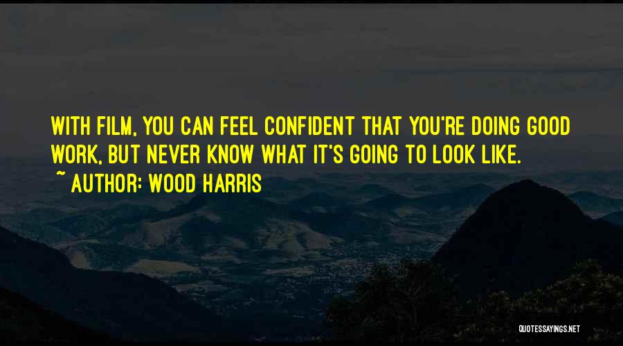 Wood Harris Quotes: With Film, You Can Feel Confident That You're Doing Good Work, But Never Know What It's Going To Look Like.