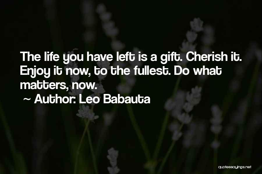 Leo Babauta Quotes: The Life You Have Left Is A Gift. Cherish It. Enjoy It Now, To The Fullest. Do What Matters, Now.