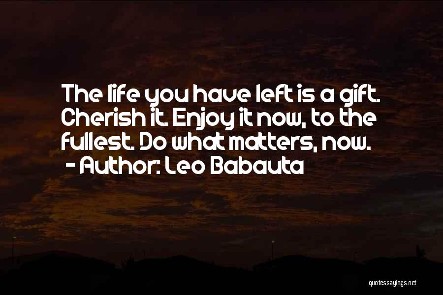 Leo Babauta Quotes: The Life You Have Left Is A Gift. Cherish It. Enjoy It Now, To The Fullest. Do What Matters, Now.