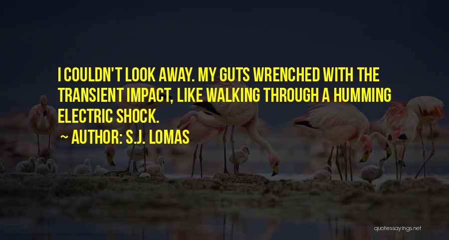 S.J. Lomas Quotes: I Couldn't Look Away. My Guts Wrenched With The Transient Impact, Like Walking Through A Humming Electric Shock.