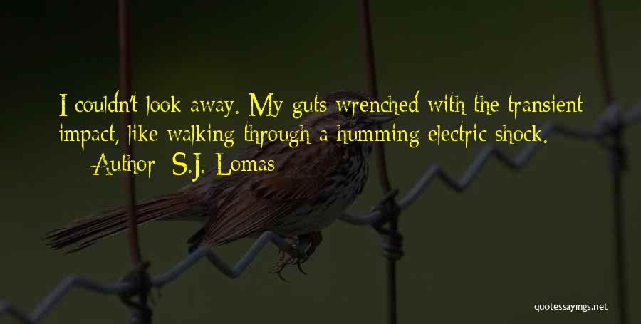 S.J. Lomas Quotes: I Couldn't Look Away. My Guts Wrenched With The Transient Impact, Like Walking Through A Humming Electric Shock.