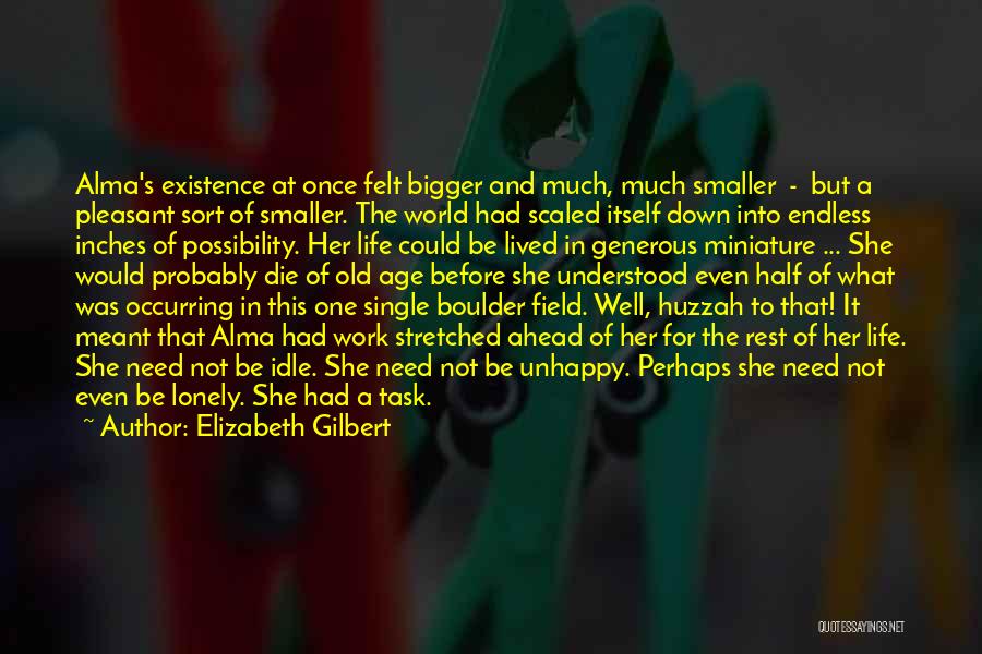 Elizabeth Gilbert Quotes: Alma's Existence At Once Felt Bigger And Much, Much Smaller - But A Pleasant Sort Of Smaller. The World Had