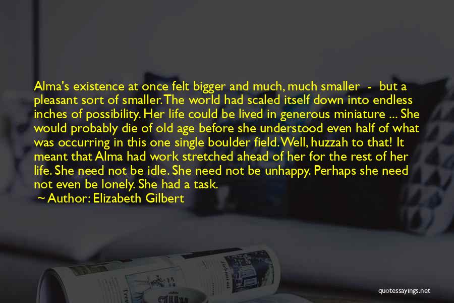 Elizabeth Gilbert Quotes: Alma's Existence At Once Felt Bigger And Much, Much Smaller - But A Pleasant Sort Of Smaller. The World Had