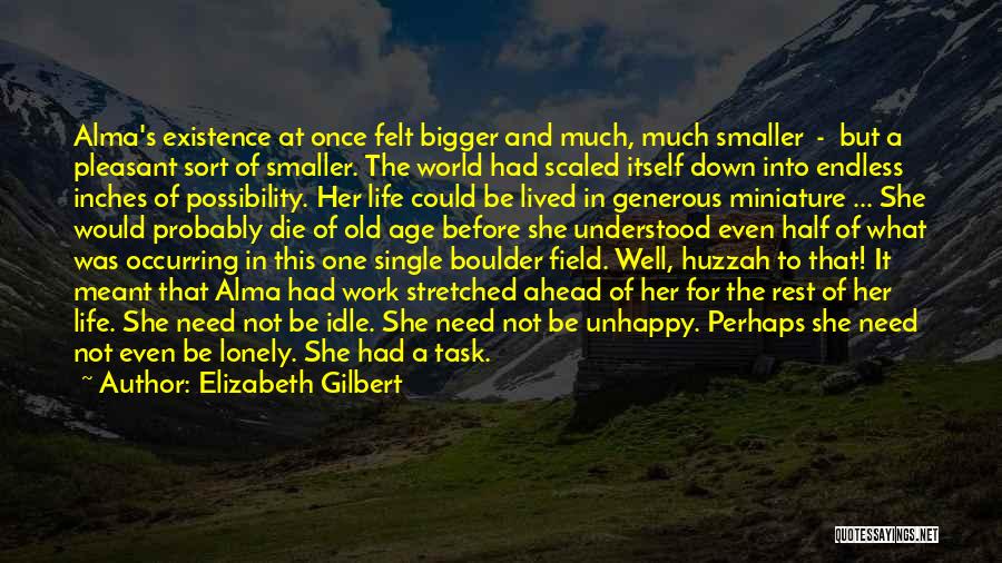 Elizabeth Gilbert Quotes: Alma's Existence At Once Felt Bigger And Much, Much Smaller - But A Pleasant Sort Of Smaller. The World Had