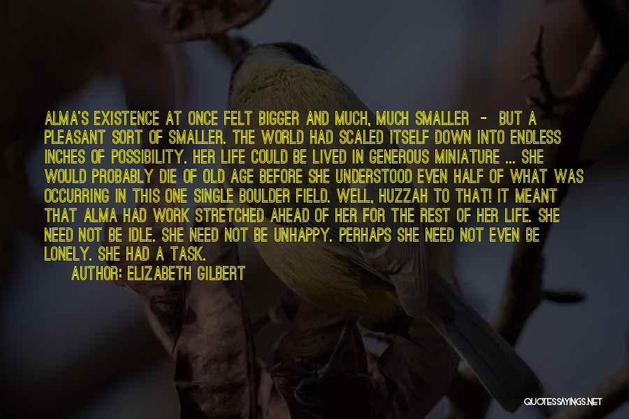 Elizabeth Gilbert Quotes: Alma's Existence At Once Felt Bigger And Much, Much Smaller - But A Pleasant Sort Of Smaller. The World Had