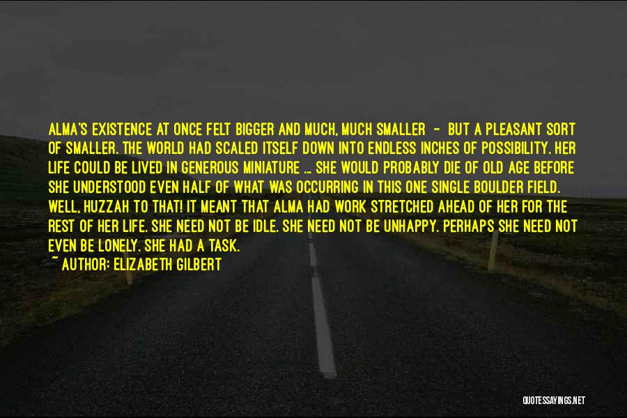 Elizabeth Gilbert Quotes: Alma's Existence At Once Felt Bigger And Much, Much Smaller - But A Pleasant Sort Of Smaller. The World Had