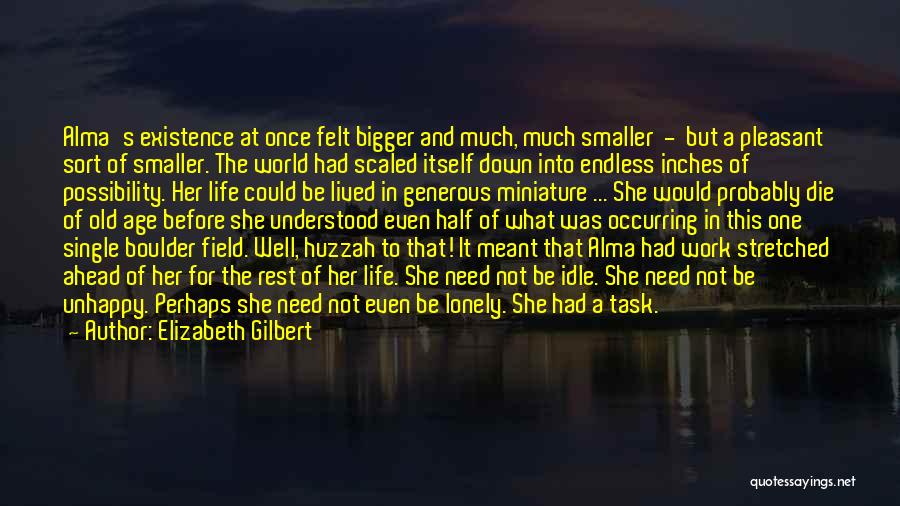 Elizabeth Gilbert Quotes: Alma's Existence At Once Felt Bigger And Much, Much Smaller - But A Pleasant Sort Of Smaller. The World Had