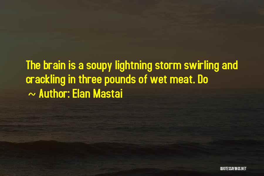 Elan Mastai Quotes: The Brain Is A Soupy Lightning Storm Swirling And Crackling In Three Pounds Of Wet Meat. Do