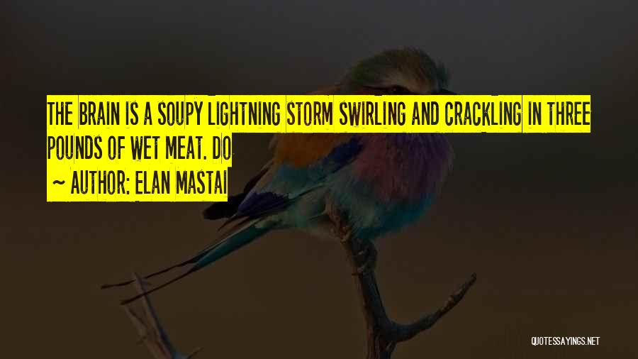 Elan Mastai Quotes: The Brain Is A Soupy Lightning Storm Swirling And Crackling In Three Pounds Of Wet Meat. Do