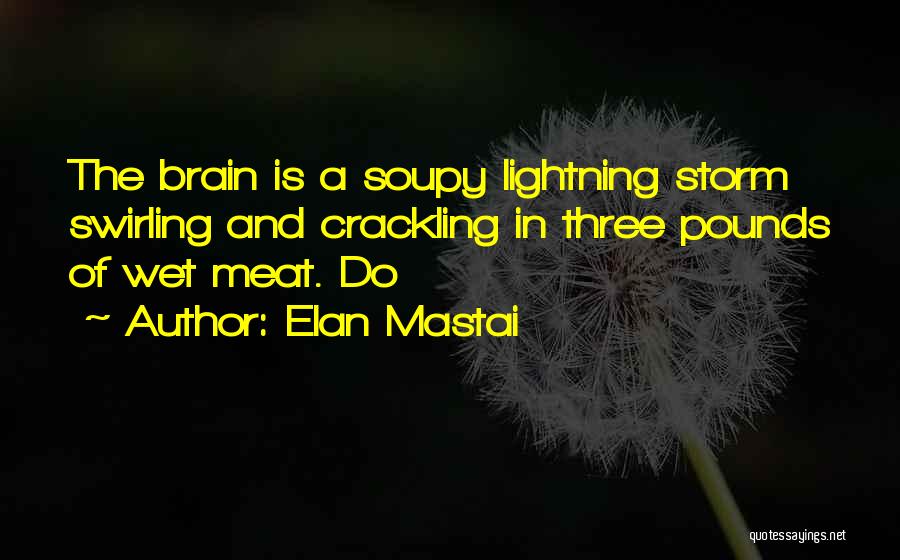 Elan Mastai Quotes: The Brain Is A Soupy Lightning Storm Swirling And Crackling In Three Pounds Of Wet Meat. Do