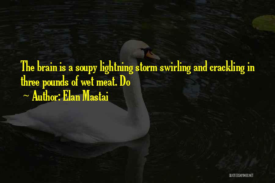 Elan Mastai Quotes: The Brain Is A Soupy Lightning Storm Swirling And Crackling In Three Pounds Of Wet Meat. Do