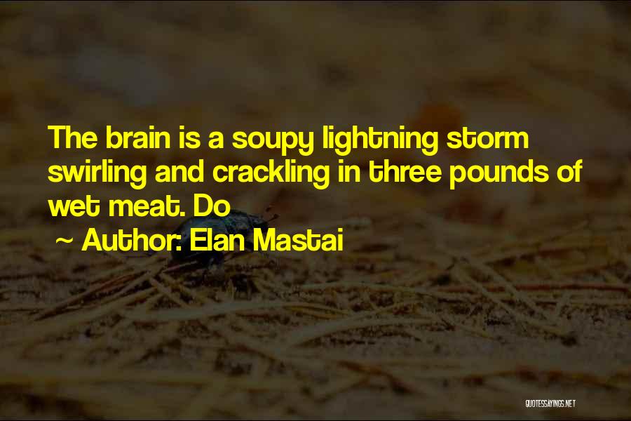 Elan Mastai Quotes: The Brain Is A Soupy Lightning Storm Swirling And Crackling In Three Pounds Of Wet Meat. Do