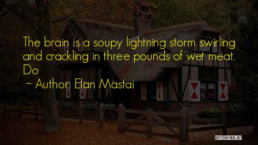 Elan Mastai Quotes: The Brain Is A Soupy Lightning Storm Swirling And Crackling In Three Pounds Of Wet Meat. Do