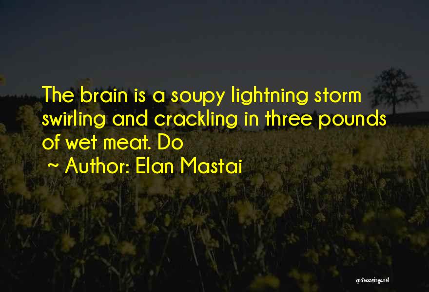 Elan Mastai Quotes: The Brain Is A Soupy Lightning Storm Swirling And Crackling In Three Pounds Of Wet Meat. Do