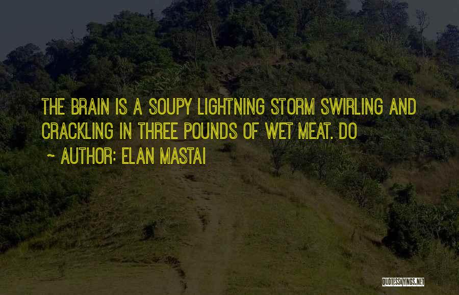 Elan Mastai Quotes: The Brain Is A Soupy Lightning Storm Swirling And Crackling In Three Pounds Of Wet Meat. Do