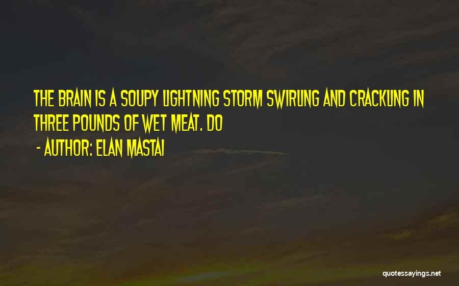 Elan Mastai Quotes: The Brain Is A Soupy Lightning Storm Swirling And Crackling In Three Pounds Of Wet Meat. Do