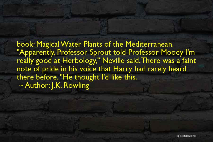 20th Century President Quotes By J.K. Rowling