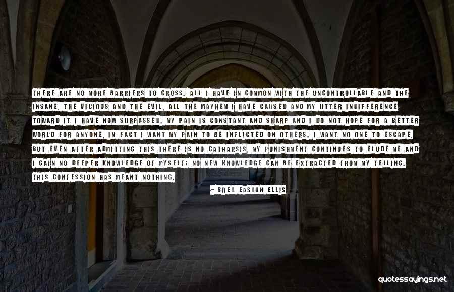 20th Month Anniversary Quotes By Bret Easton Ellis 20th Month Anniversary Quotes By Bret Easton Ellis