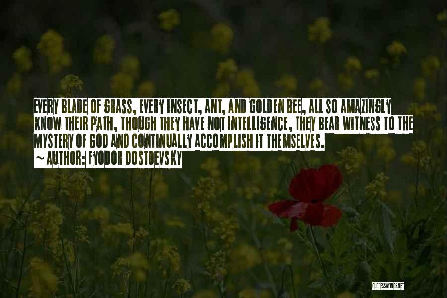 Fyodor Dostoevsky Quotes: Every Blade Of Grass, Every Insect, Ant, And Golden Bee, All So Amazingly Know Their Path, Though They Have Not