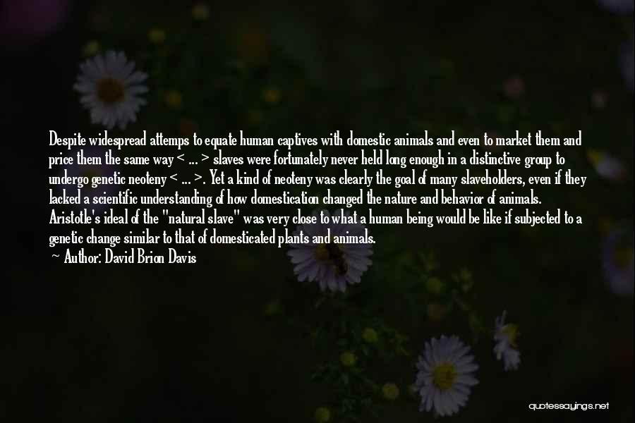 David Brion Davis Quotes: Despite Widespread Attemps To Equate Human Captives With Domestic Animals And Even To Market Them And Price Them The Same