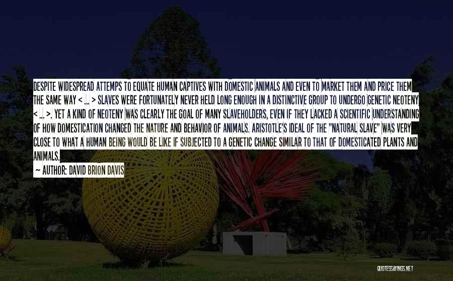 David Brion Davis Quotes: Despite Widespread Attemps To Equate Human Captives With Domestic Animals And Even To Market Them And Price Them The Same