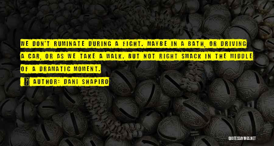 Dani Shapiro Quotes: We Don't Ruminate During A Fight. Maybe In A Bath, Or Driving A Car, Or As We Take A Walk.
